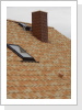 Sie sehen einen Kamin welcher mit roten Faserzementschablonen eingedeckt worden ist und mit einer Kupfer Abdeckung versehen worden ist. Sie sehen einen Kamin welcher mit roten Faserzementschablonen eingedeckt worden ist und mit einer Kupfer Abdeckung versehen worden ist.