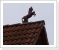 Ein Pferd als Dachreiter Ein Pferd als Dachreiter